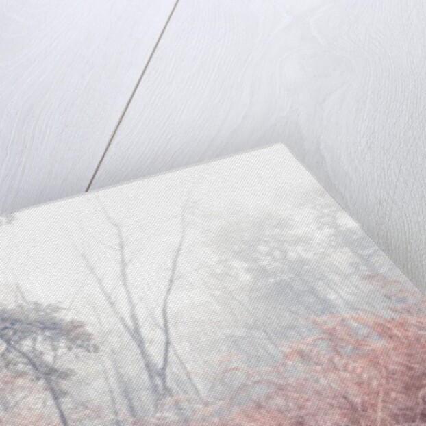 Misty forest by Assaf Frank